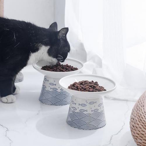 OMAYKEY Extra Wide Cat Bowls, 6.25 Inch Ceramic Raised Cat Bowl Set for Food & Water, Wide Shallow Pet Food Dish, Anti Vomiting, Stress Free, Whisker Fatigue, 2 Packs, Blue - Image 2