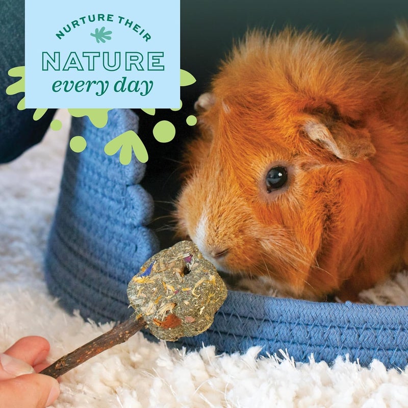 Oxbow Enriched Life Timbells, Rabbit Toys, Guinea Pig Toys, Enrichment for Bunny, Guinea Pig, Hamster, Rabbit, Chinchilla, Timothy Hay, Chinchilla Cage Accessories, Small Pet Accessories for Cage - Image 4