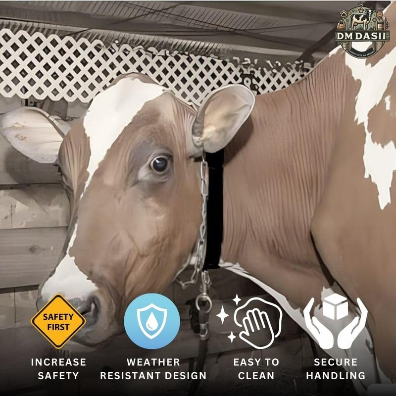 DM DASII MAT DM DASII Durable Cow & Buffalo Collar – Adjustable Nylon/Leather Neck Belt for Livestock, Strong & Waterproof, Comfortable Fit for Cattle, Heavy-Duty Buckle, Ideal for Farms, Dairy Use (Black) - Image 2