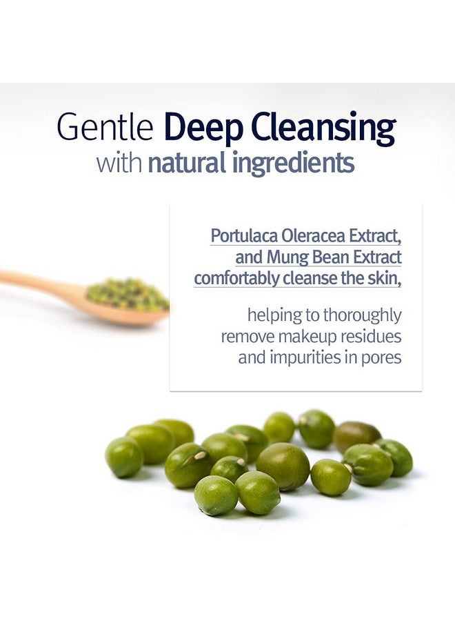 غسول منظف للوجه PKY منخفض الحموضة (نوع مائي) مزيل للمكياج منظف للوجه مع بندق الساحرة وحمض ألفا هيدروكسي - سيكا، مستخلص شجرة الشاي مكونات طبيعية منظف مهدئ سيراميد ماء ميسيلار 9.8 أونصة سائلة - Image 5