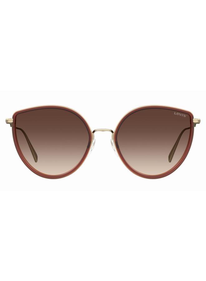 Levi's Cat Eye Sunglasses Frames - Image 3