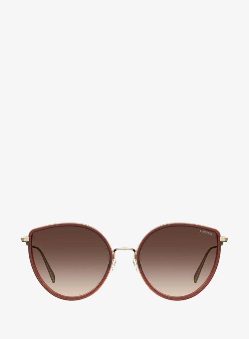 Levi's Cat Eye Sunglasses Frames - Image 3