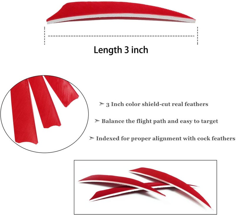 MS JUMPPER Arrows 3 Inch Real Feathers Fletching with Shield Cut for DIY Hunting Shooting Shafts (36 Pack) - Image 2