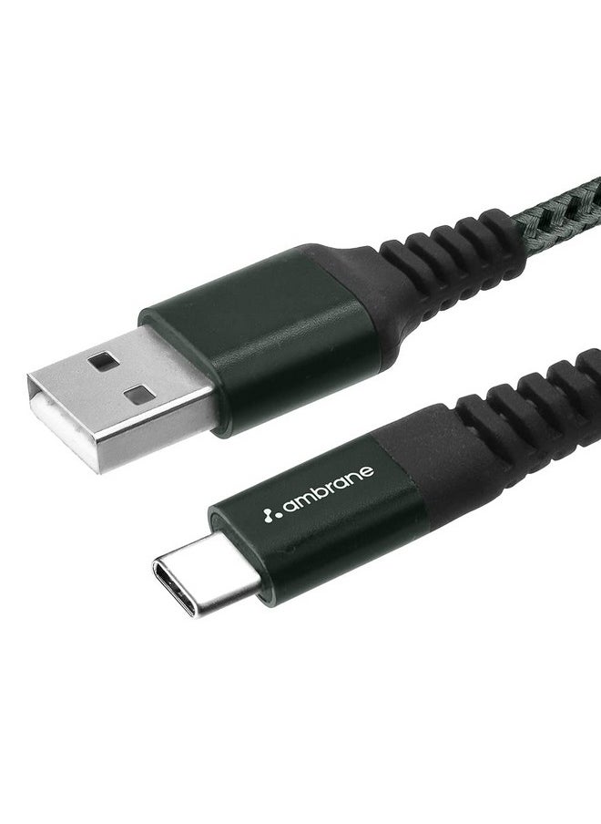 AMBRANE - Ambrane Unbreakable 3A Fast Charging 1.5m Braided Type C Cable for Smartphones, Tablets, Laptops & other Type C devices, 480Mbps Data Sync, Quick Charge 3.0 (RCT15A, Green) - Image 1