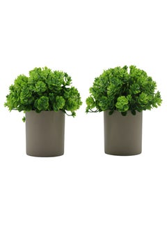 2 Pack Potted Mini Artificial Plants ,Small Fake Green Plants, Dual Pack Spherical Topiary in Pot,Faux Greenery Decor for Indoor Home Office Desktop Bookshelf - pzsku/Z653261D6623673F656DBZ/45/_/1737292887/66405529-61b0-4f74-8670-4a1a15b13801