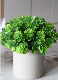 2 Pack Potted Mini Artificial Plants ,Small Fake Green Plants, Dual Pack Spherical Topiary in Pot,Faux Greenery Decor for Indoor Home Office Desktop Bookshelf - pzsku/Z653261D6623673F656DBZ/45/_/1737292902/bdb404d6-b414-4ac7-83fa-192b517c0ba7