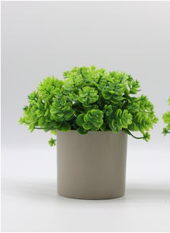 2 Pack Potted Mini Artificial Plants ,Small Fake Green Plants, Dual Pack Spherical Topiary in Pot,Faux Greenery Decor for Indoor Home Office Desktop Bookshelf - pzsku/Z653261D6623673F656DBZ/45/_/1737292914/8b612890-ffb9-4dd6-a93c-275bf1e849bf