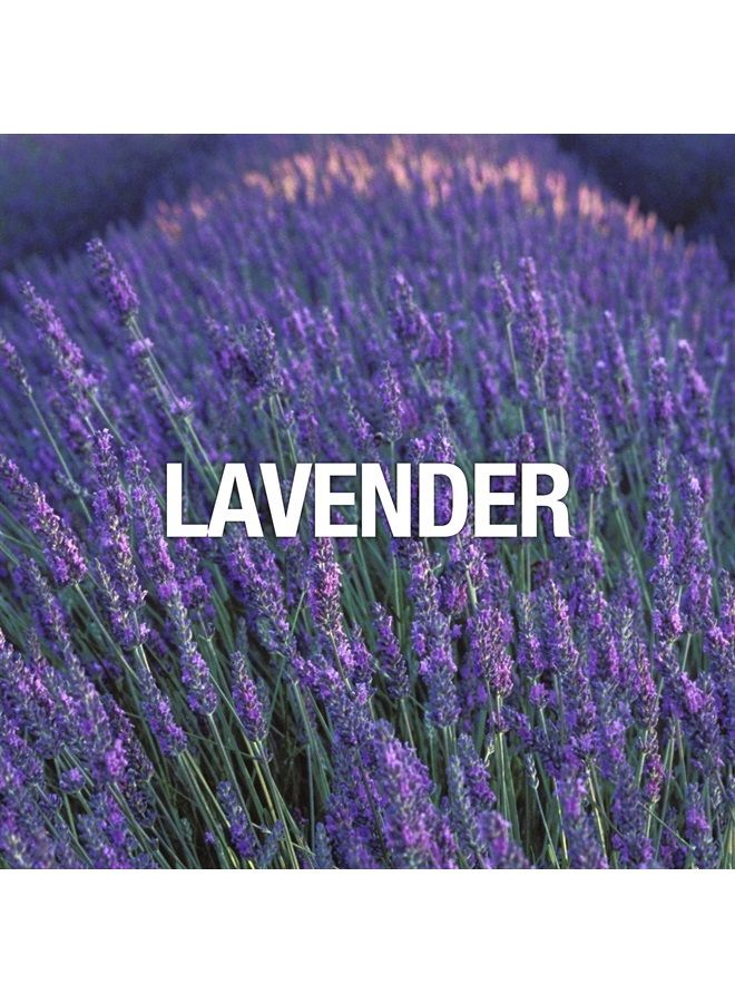 Curve عطر ما بعد الحلاقة للرجال 4.2 أونصة - Image 2