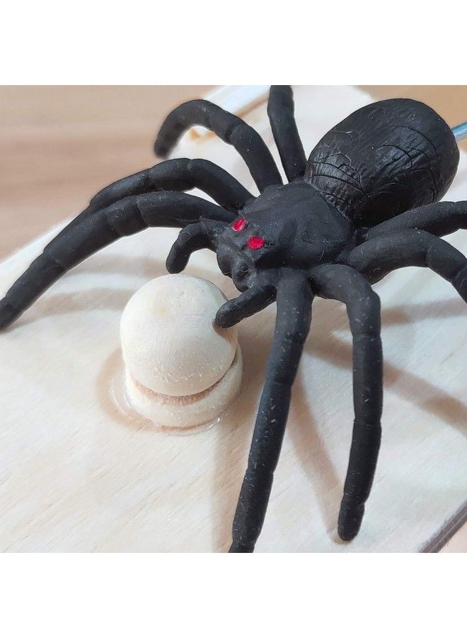 Fun Spider Money Surprise Box,Rubber Spider Prank Box,Handcrafted Spider In Box Prank  - Image 5