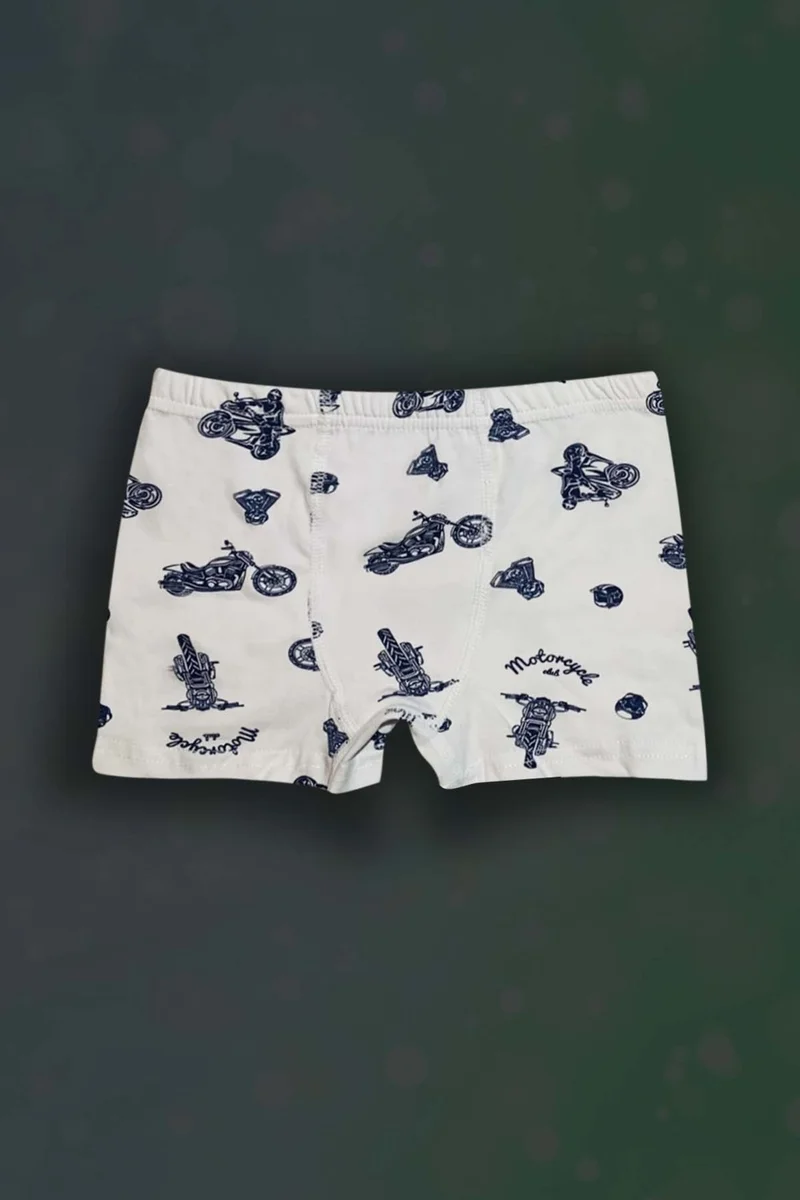 غري مور تكستل Gray Purple Textile 3-Piece Boy's Cotton Patterned Boxers