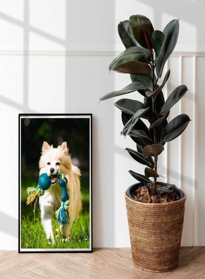 LC Glossy Photo Paper 180 GSM A4 Size | Compatible with Inkjet Printers | Pack of 1 (50 sheets) - Image 5