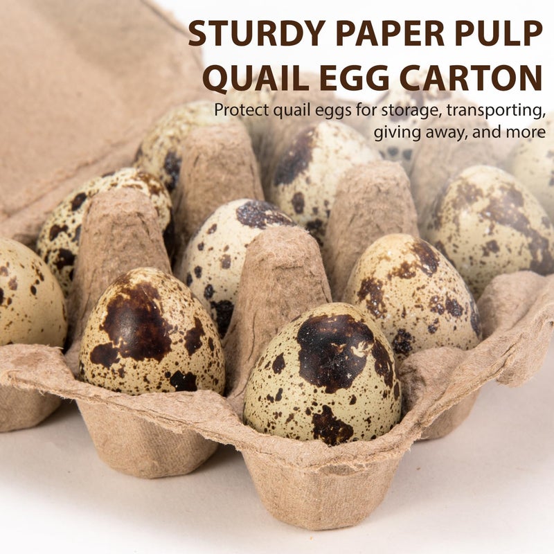 CINPIUK 50 Pack Egg Cartons, 3x4 Style Paper Pulp Egg Trays, Sturdy & Reusable Egg Holder 12 Count Dozen Chicken Egg Storage Tray for Farmers, Home Use & Transport - Image 4