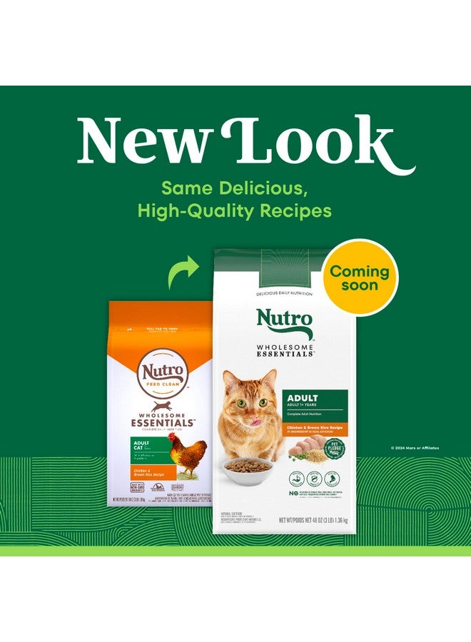 نوترو طعام القطط الجافة Nutro Wholesome Essentials للبالغين، وصفة الدجاج والأرز البني، 3 رطل. - Image 2
