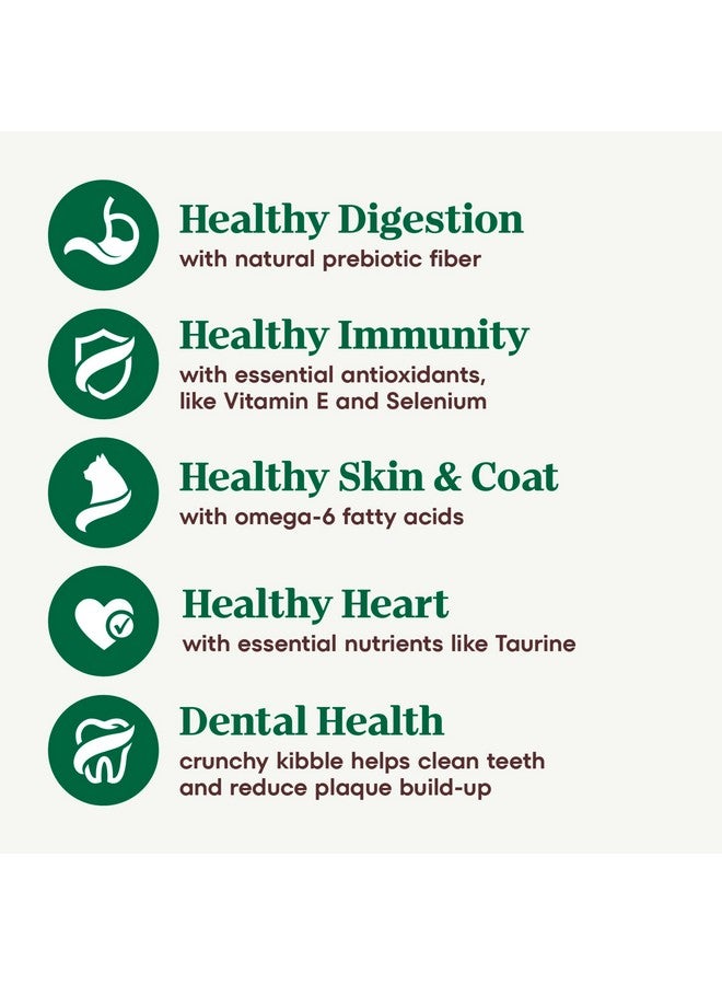 نوترو طعام القطط الجافة Nutro Wholesome Essentials للبالغين، وصفة الدجاج والأرز البني، 3 رطل. - Image 4