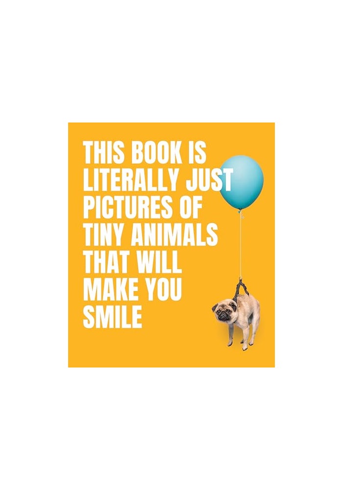 This Book Is Literally Just Pictures Of Tiny Animals That Will Make You Smile
