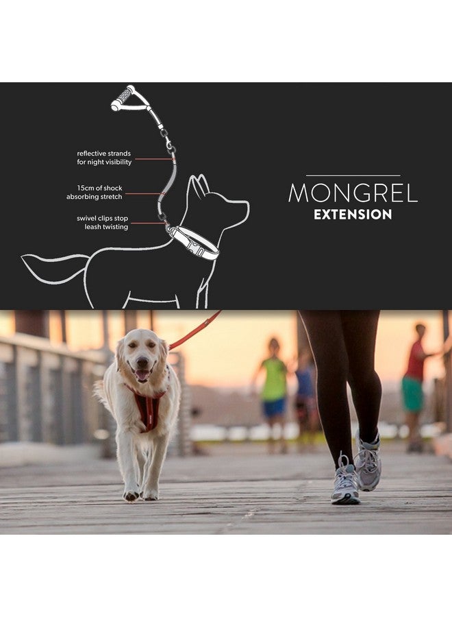 EzyDog Mongrel Bungee Dog Leash Rope Extension - 24 Inch Shock-Aborbing Leash - Works with The Mongrel Leash (Sold Separately) - Use Two for a Tangle-Free Double Dog Leash (Black)