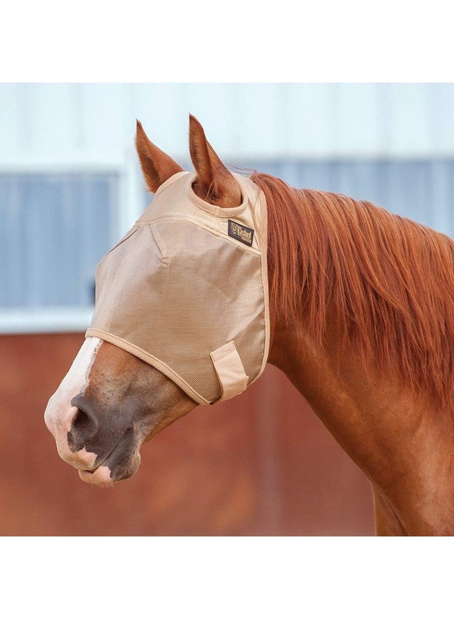 كاشيل قناع ذباب الخيل الاقتصادي الكبير من شركة كاشيل، لون أسمر دافئ - Image 2