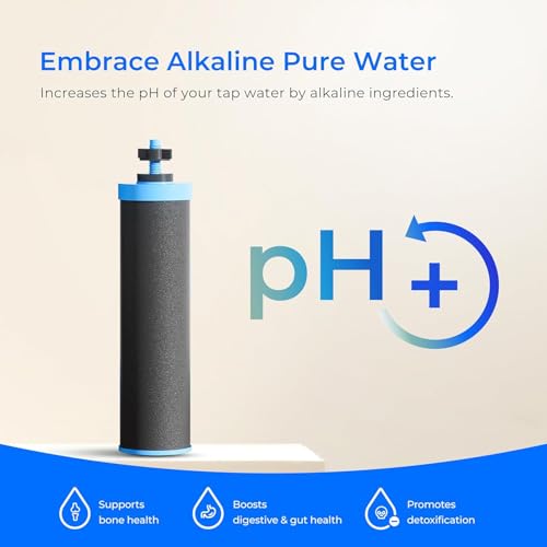 Waterdrop TKADFS Alkaline Gravity Water Filter System Increase PH Reduces Fluoride and Chlorine with 4 Filters and Metal Spigot for Home Camping Travel Emergencies 225G - Image 3