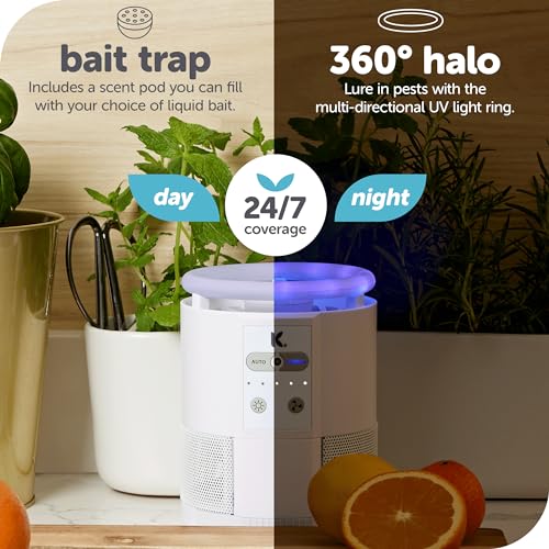 Katchy Duo – Indoor Flying Insect Trap with Scent Pod – Day & Night Effective – Mosquito, Fruit Fly, Gnat & Small Moth Catcher – Non-Zapper Trap with Blue UV Light & Fan Suction (Black) - Image 3