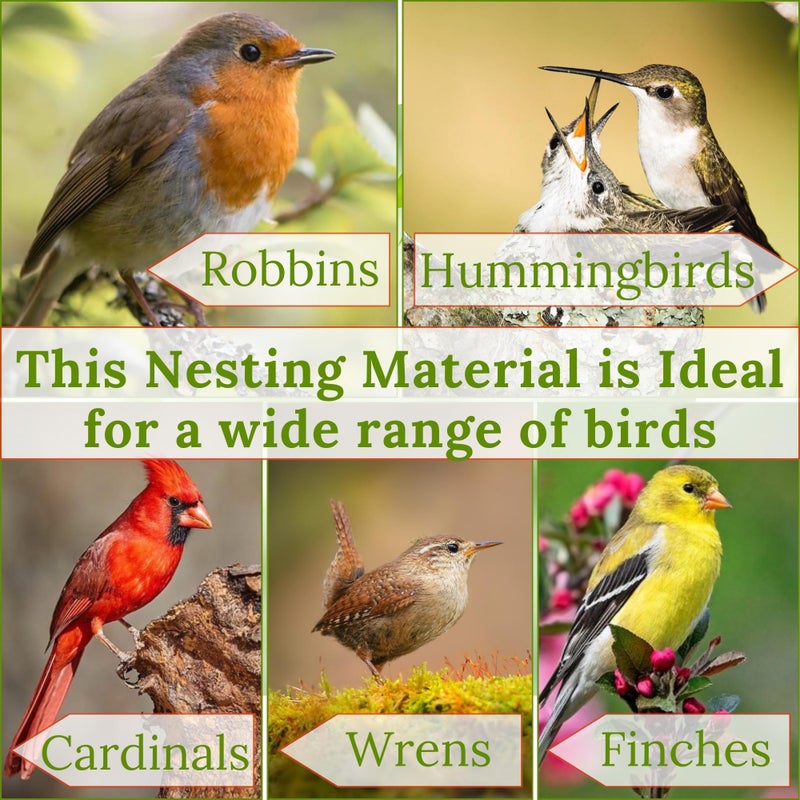 slivche Bird Nesting Material â€“ Hummingbird Nesting Material - Natural Nest Bedding Refill for Hummingbirds Parakeets Finches Canaries Wrens Wild Birds â€“ Ideal Supplies for Cages Gardens Nesting Boxes 3.6 oz - Image 5