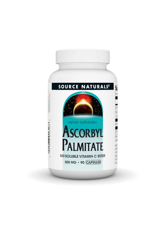 Source Naturals Ascorbyl Palmitate 500mg, 90 Capsules - pzsku/Z653FE0047A12C0E4E8F9Z/45/_/1740203060/0b831bc8-1bd0-44c1-9fc6-ff4712f18a5c