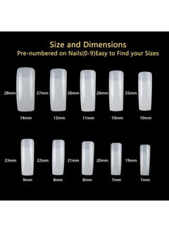 200Pcs Square Nail Tips And Glue, Clear Natural False Acrylic Nail Tips, Half Cover 10 Sizes French Artificial Nail Tips Manicure With Nail Clipper, Nail Files And Glue For Dip Powder - pzsku/Z6540B809666DB2271A16Z/45/_/1723295103/f8e48a8a-ecb1-4600-82ec-9bf9863a9ab6