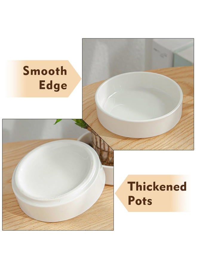 FOWSEEK 2pcs Brazilian Wood Plant Pot (Plants Not Included), Ceramic Brazilian Wood Pallet Plant Tray, Flower Pots Planters Plant Tray Saucer for Brazilian Lucky Wood Bottom - Image 5