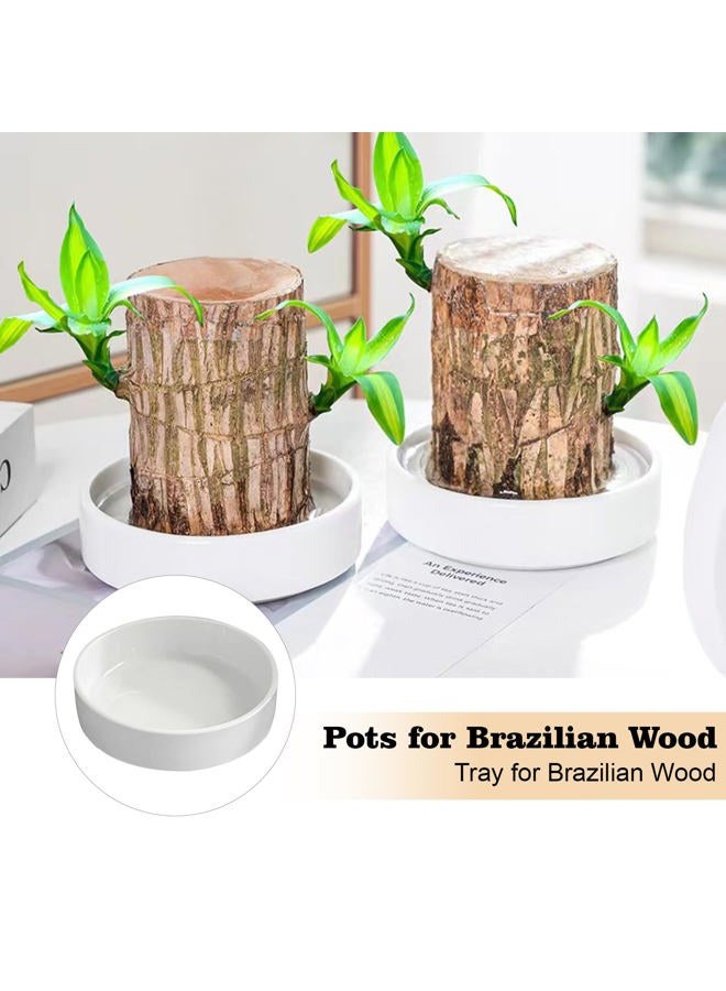 FOWSEEK 2pcs Brazilian Wood Plant Pot (Plants Not Included), Ceramic Brazilian Wood Pallet Plant Tray, Flower Pots Planters Plant Tray Saucer for Brazilian Lucky Wood Bottom - Image 4