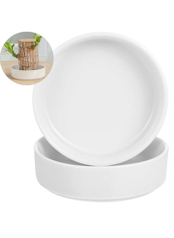 FOWSEEK 2pcs Brazilian Wood Plant Pot (Plants Not Included), Ceramic Brazilian Wood Pallet Plant Tray, Flower Pots Planters Plant Tray Saucer for Brazilian Lucky Wood Bottom - Image 1