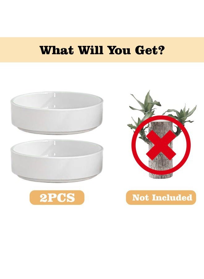 FOWSEEK 2pcs Brazilian Wood Plant Pot (Plants Not Included), Ceramic Brazilian Wood Pallet Plant Tray, Flower Pots Planters Plant Tray Saucer for Brazilian Lucky Wood Bottom - Image 3