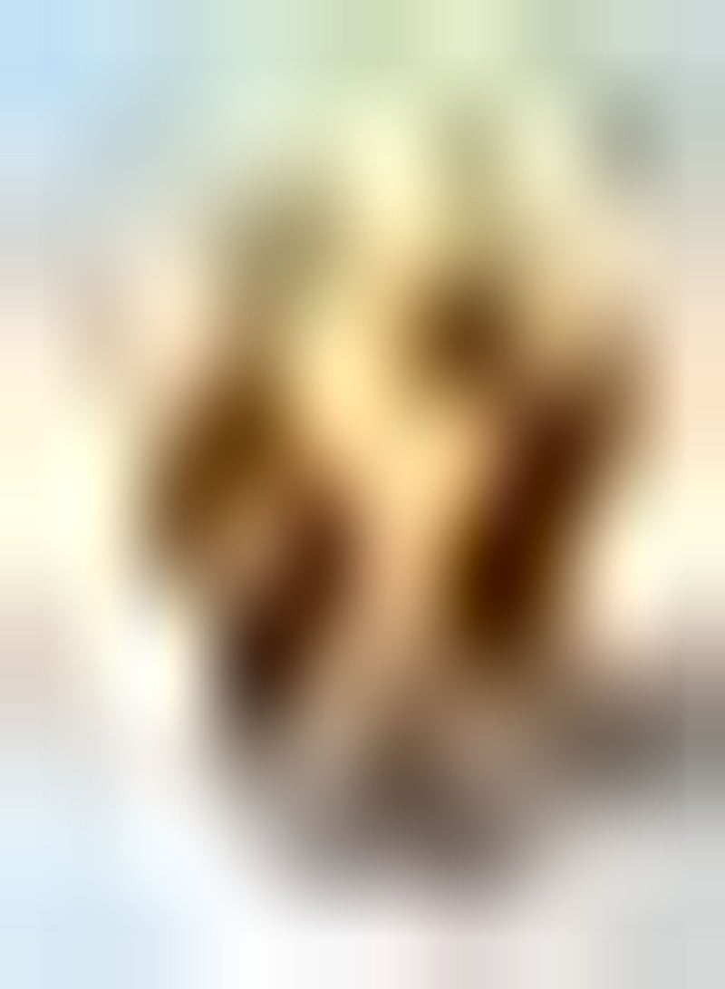 GGOOT 10Stück Mix Ranunkeln Zwiebeln eingetopfte Butterblumenzwiebeln Heirloom Blumenzwiebeln für die Hofbepflanzung Ausgezeichnetes Material für Schnittblumen - Image 1