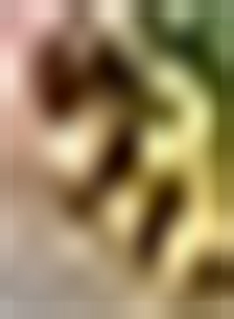 GGOOT 10Stück Mix Ranunkeln Zwiebeln eingetopfte Butterblumenzwiebeln Heirloom Blumenzwiebeln für die Hofbepflanzung Ausgezeichnetes Material für Schnittblumen - Image 2