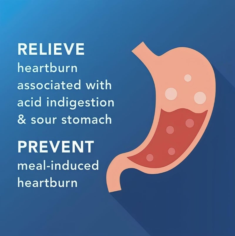 berkley jensen Maximum Strength Famotidine 20 mg  200 Count Acid Reducer Tablets Relieves MealInduced Heartburn  Acid Indigestion Symptoms AllDay Heartburn Prevention  Relief - Image 4