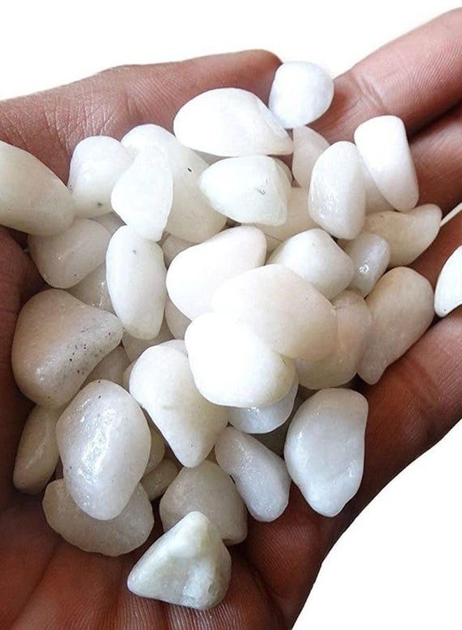 The Green View Gardens 1 Kg White Colour Pebbles Stone for Home & Garden|| Indoor & Outdoor || Decoration,Vase Fillers|| Aquarium/Fish Tank - Image 4