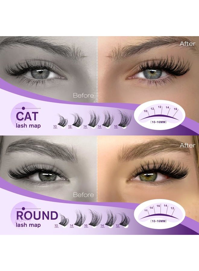 Pawotence Natural Lash Clusters Wispy Eyelash Clusters 10-16mm Full Lashes Cluster Eyelash Extensions Soft Individual Cluster Lashes False Eyelashes for DIY Lash Extension - Image 2