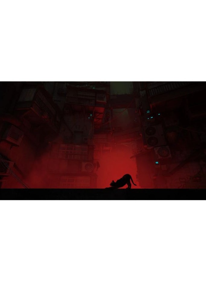 بلاي ستيشن - لعبة - ستراي - بلايستيشن 4  (PS4) - Image 1