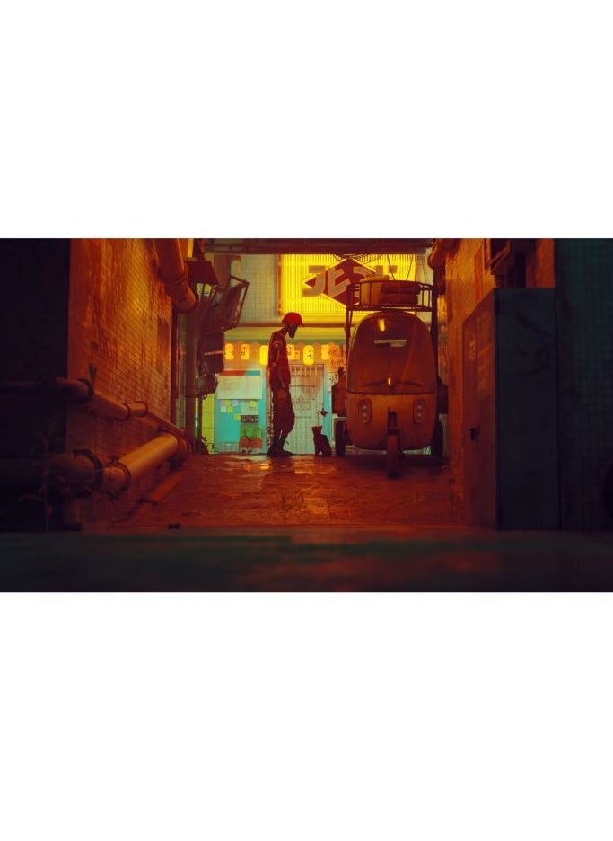 بلاي ستيشن - لعبة - ستراي - بلايستيشن 4  (PS4) - Image 1