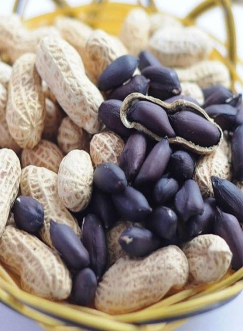 GGOOT 10Pcs Black Peanut Seeds, Heirloom Fruit and Vegetable Home Farm Garden Plant - Image 1