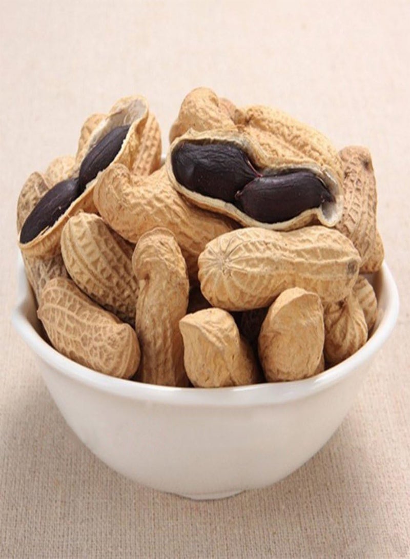 GGOOT 10Pcs Black Peanut Seeds, Heirloom Fruit and Vegetable Home Farm Garden Plant - Image 3