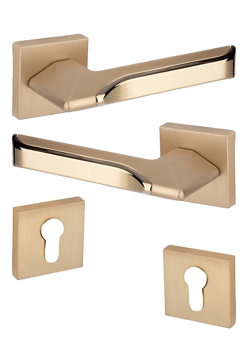 Lozan Heavy Door Handles Pair Golden 