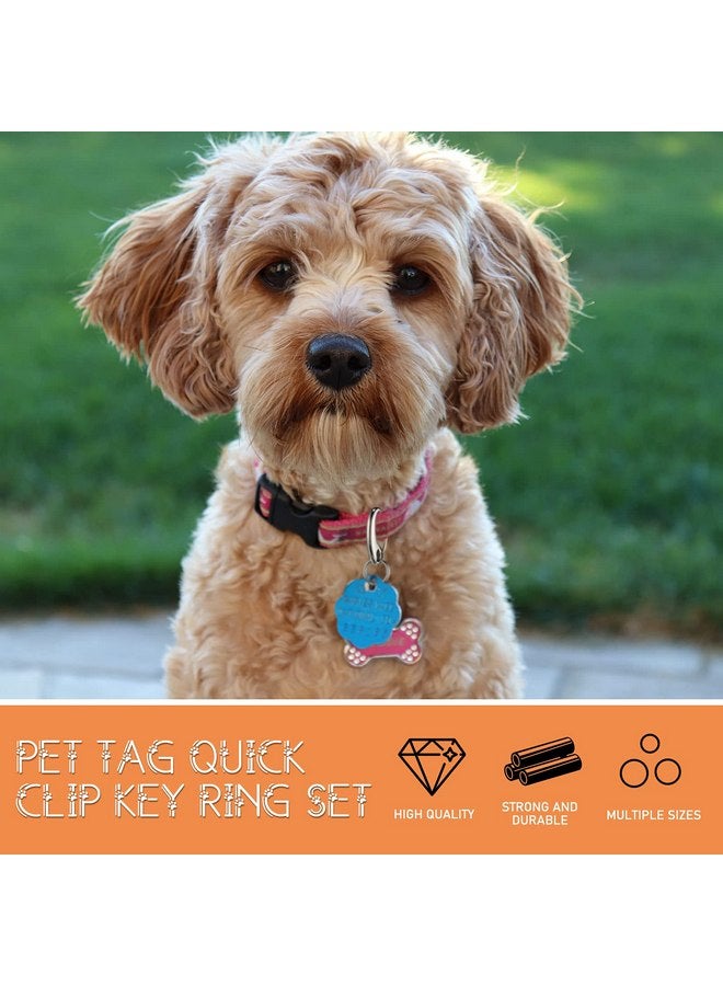 جيديف 18 قطعة من مشابك بطاقات تعريف الكلاب وعلامات تعريف الحيوانات الأليفة ومشابك بطاقات تعريف الحيوانات الأليفة ومجموعات المشابك السريعة وعلامات تعريف الحيوانات الأليفة مع حلقات، حامل بطاقات تعريف الحيوانات الأليفة من الفولاذ المقاوم للصدأ للقطط والكلاب - Image 4