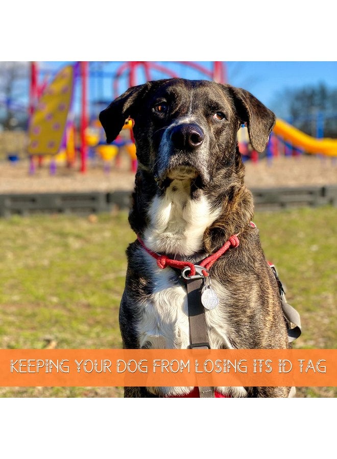 جيديف 18 قطعة من مشابك بطاقات تعريف الكلاب وعلامات تعريف الحيوانات الأليفة ومشابك بطاقات تعريف الحيوانات الأليفة ومجموعات المشابك السريعة وعلامات تعريف الحيوانات الأليفة مع حلقات، حامل بطاقات تعريف الحيوانات الأليفة من الفولاذ المقاوم للصدأ للقطط والكلاب - Image 5