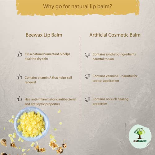 Last Forest Beeswax Lip Balm 5g, For Men & Women, Non-Sticky, 24-Hour Moisturizer for Dry & Chapped Lips, Enriched to Nourish and Protect Lips (Honey) - Image 4