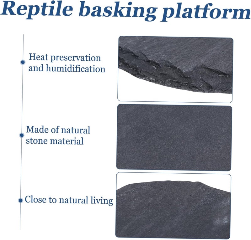 Wide range usage design Toyvian 2pcs Natural Stone Tortoise Basking Platform Decorative Rock Dish for Reptiles for Turtle Bathing and Relaxation Aquariums Enhances Natural Habitat Varied global sizing picks KSA standard compatible design Regulated warehouse storage Economical upgraded quality Space saving design picks Wide use selected material Easy transit optimized build Tiered cost purchase alternatives Care processed raw material Advanced minimal build Shop & home all-space compatible Room to room portable Easy handling optimized design Home & professional compatible Single & bulk use compatible All item simple matching build Cost effective fine quality Scheduled warehouse deliver Balanced structure Quick available purchase options Post-order arranged dispatch Popular practical build Precision processed material All governorates deliver - Image 3