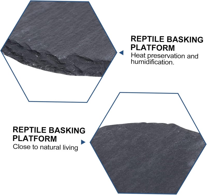 Wide range usage design Toyvian 2pcs Natural Stone Tortoise Basking Platform Decorative Rock Dish for Reptiles for Turtle Bathing and Relaxation Aquariums Enhances Natural Habitat Varied global sizing picks KSA standard compatible design Regulated warehouse storage Economical upgraded quality Space saving design picks Wide use selected material Easy transit optimized build Tiered cost purchase alternatives Care processed raw material Advanced minimal build Shop & home all-space compatible Room to room portable Easy handling optimized design Home & professional compatible Single & bulk use compatible All item simple matching build Cost effective fine quality Scheduled warehouse deliver Balanced structure Quick available purchase options Post-order arranged dispatch Popular practical build Precision processed material All governorates deliver - Image 4