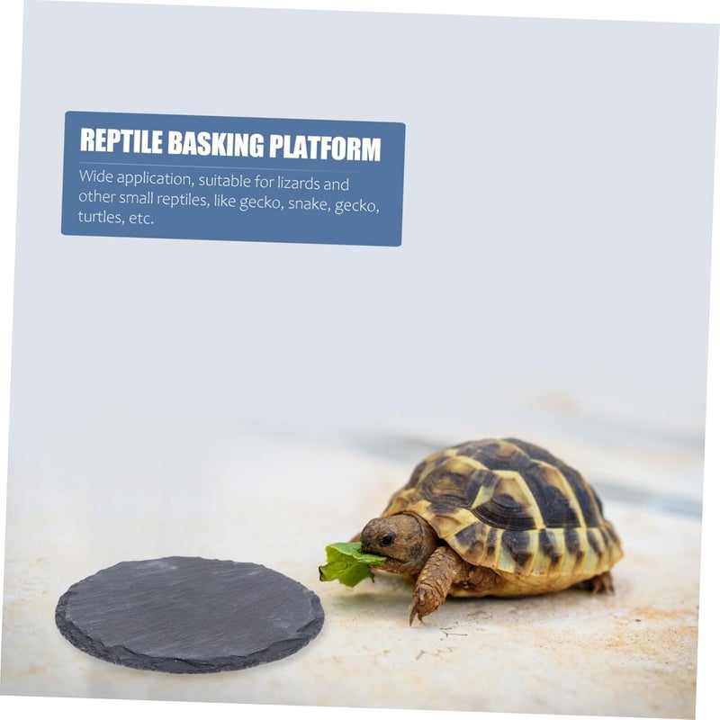 Wide range usage design Toyvian 2pcs Natural Stone Tortoise Basking Platform Decorative Rock Dish for Reptiles for Turtle Bathing and Relaxation Aquariums Enhances Natural Habitat Varied global sizing picks KSA standard compatible design Regulated warehouse storage Economical upgraded quality Space saving design picks Wide use selected material Easy transit optimized build Tiered cost purchase alternatives Care processed raw material Advanced minimal build Shop & home all-space compatible Room to room portable Easy handling optimized design Home & professional compatible Single & bulk use compatible All item simple matching build Cost effective fine quality Scheduled warehouse deliver Balanced structure Quick available purchase options Post-order arranged dispatch Popular practical build Precision processed material All governorates deliver - Image 2