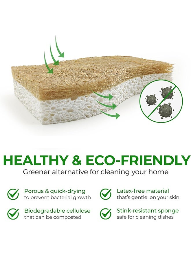 سويت لايف إسفنجة مطبخ طبيعية - إسفنجة تنظيف من السليلوز وجوز الهند قابلة للتحلل الحيوي - عبوة من 5 إسفنجات صديقة للبيئة للأطباق - Image 3