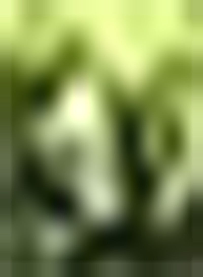 GGOOT 50pcs Bamboo Seeds Winter Hardy Has Shading Effect Make People Pleasing to The Eye Create Unusual Charming Gardening Scenery - Image 1