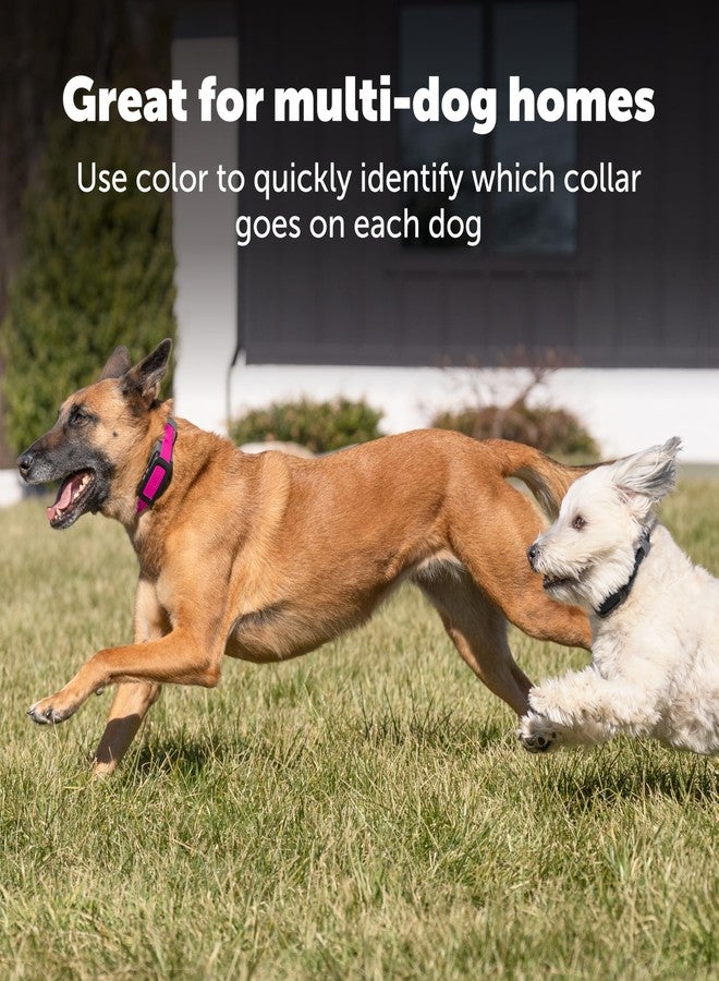 بيت سيف حزام بديل من PetSafe لطوق السياج والتتبع Guardian GPS 2.0 للكلاب، مصنوع من النايلون الناعم الملمس لراحة معززة ومتانة تدوم طويلاً - مادة ماصة للماء ومقاومة للماء، لون وردي - Image 3