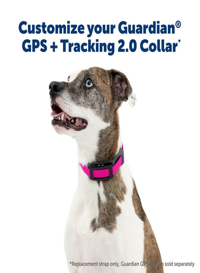 بيت سيف حزام بديل من PetSafe لطوق السياج والتتبع Guardian GPS 2.0 للكلاب، مصنوع من النايلون الناعم الملمس لراحة معززة ومتانة تدوم طويلاً - مادة ماصة للماء ومقاومة للماء، لون وردي - Image 2